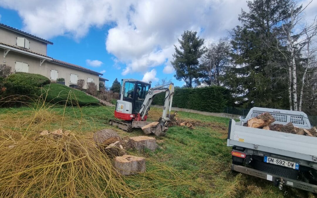 Abattage et arrachage de souche. Broyage de branche