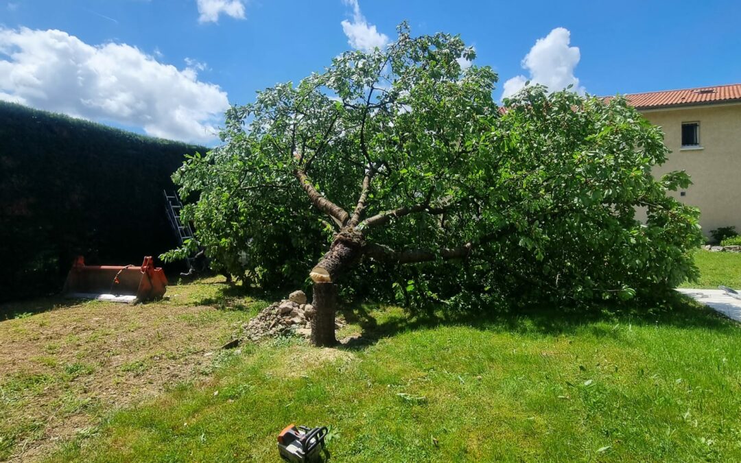 Terrassement, arrachage cerisier, terrain de pétanque, mur bimuro
