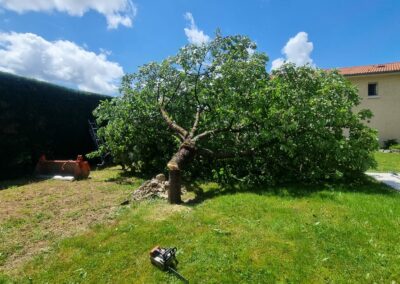 Terrassement, arrachage cerisier, terrain de pétanque, mur bimuro